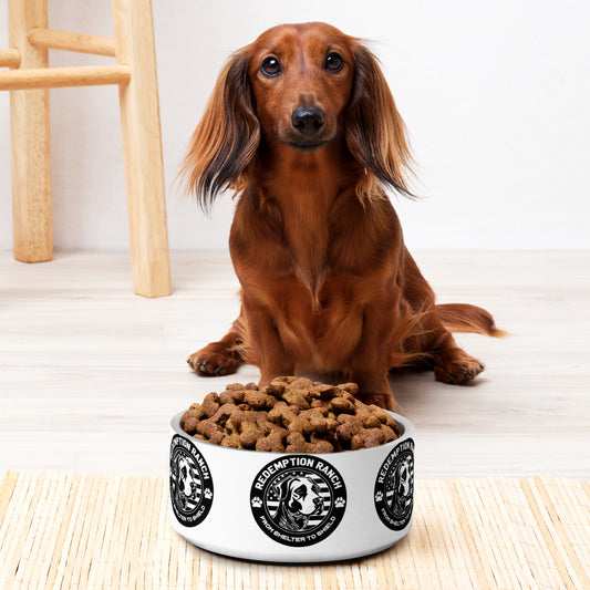 RR Logo Stainless Pet bowl